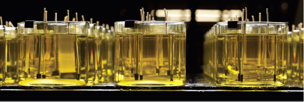 welcome quotes for new joinees